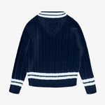 #color_navy-blarney